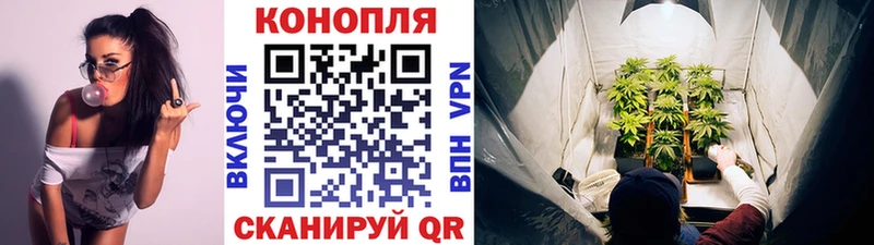 Канабис ГИДРОПОН  Ангарск 